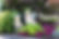 Portrait of two dogs with decorative plants