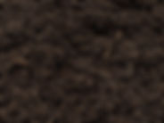 dark brown mulch